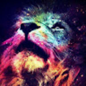 Meet your Posher, Damia